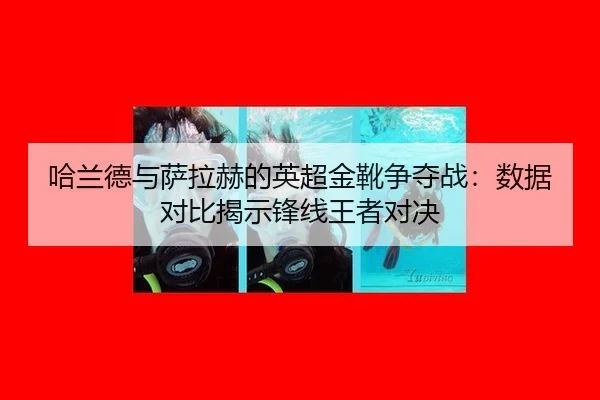 ha-lan-de-yu-sa-la-he-de-ying-chao-jin-xue-zheng-duo-zhan-shu-ju-dui-bi-jie-shi-feng-xian-wang-zhe-dui-jue-2-701.jpg