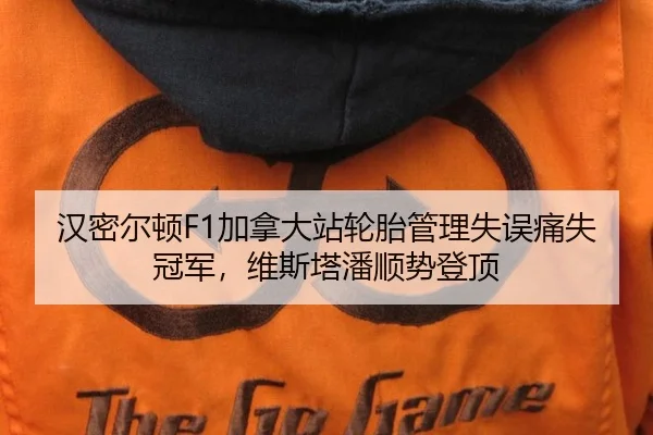 汉密尔顿F1加拿大站轮胎管理失误痛失冠军，维斯塔潘顺势登顶