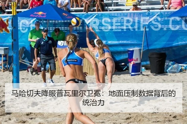 ma-ha-qie-fu-xiang-fu-pu-wa-li-er-wei-mian-di-mian-ya-zhi-shu-ju-bei-hou-de-tong-zhi-li-3-782.jpg