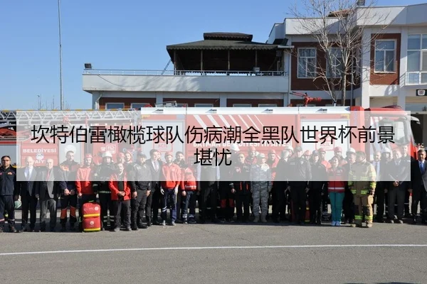 坎特伯雷橄榄球队伤病潮全黑队世界杯前景堪忧