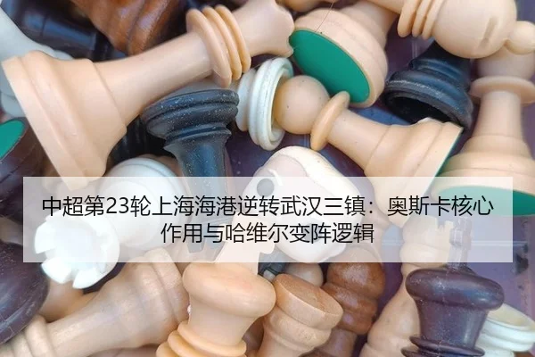 zhong-chao-di-lun-shang-hai-hai-gang-ni-zhuan-wu-han-san-zhen-ao-si-ka-he-xin-zuo-yong-yu-ha-wei-er-bian-zhen-luo-ji-2-461.jpg