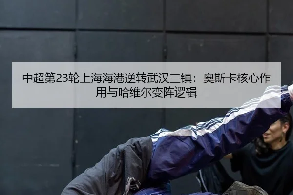 zhong-chao-di-lun-shang-hai-hai-gang-ni-zhuan-wu-han-san-zhen-ao-si-ka-he-xin-zuo-yong-yu-ha-wei-er-bian-zhen-luo-ji-3-325.jpg